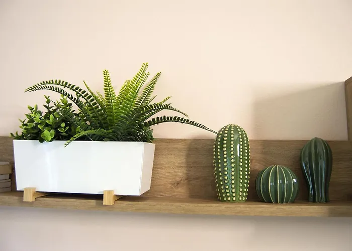 Iris House Daire Ferrara